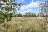 199 Burton Road - Photo 15