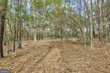 199 Burton Road - Photo 19