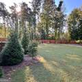 4225 Gunnerson Lane - Photo 50