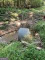 2470 Fears Road - Photo 21