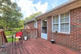 241 Ash Street - Photo 18