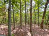 100 +/- Acres On Rambling Road - Photo 36