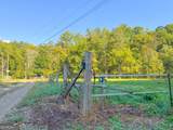 100 +/- Acres On Rambling Road - Photo 40