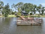 4281 Ga Highway 46 - Photo 10