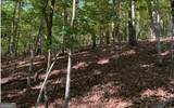 LOT 41 Ridge Drive - Photo 9