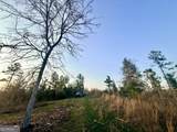 15 Turning Point Way - Photo 107