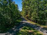 0 Shadowick Mountain Road - Photo 10
