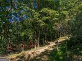 0 Shadowick Mountain Road - Photo 11