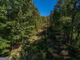 0 Shadowick Mountain Road - Photo 12