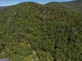 0 Shadowick Mountain Road - Photo 16