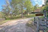 1306 Hot House Road - Photo 5