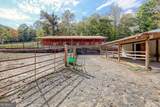 1306 Hot House Road - Photo 59