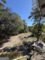 1621 St Marys River Bluff Road - Photo 20