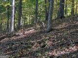 LOT 30 Rocky Knob Drive - Photo 8