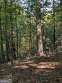 LOT 30 Rocky Knob Drive - Photo 9