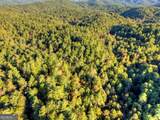 12.64 AC Harrison Sluder Road - Photo 14