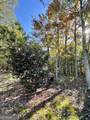 1036 Wards Creek Drive - Photo 27