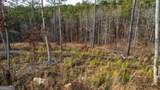 LOT 177 Shallow Water Way - Photo 8