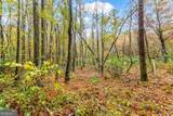 5618 Highway 52 - Photo 47