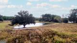 1176 Highway 57 - Photo 15
