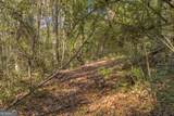 0 Rice Creek Road - Photo 12