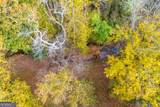 0 Rice Creek Road - Photo 15