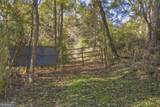 0 Rice Creek Road - Photo 2