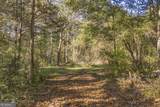 0 Rice Creek Road - Photo 3