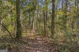 0 Rice Creek Road - Photo 4