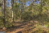 0 Rice Creek Road - Photo 8
