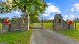 7805 Nowell Road - Photo 4