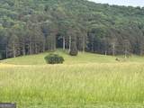 1654 A Ward Mountain Road - Photo 109