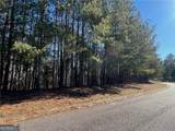 924 Whistler Lane - Photo 10