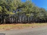 924 Whistler Lane - Photo 11