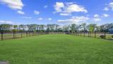 307 Royal Fern Lane - Photo 42