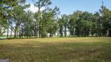166 Little Lulu Lane - Photo 8
