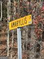 0 Amaryllis Lane - Photo 9