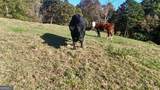 0 Porter Springs Road - Photo 5