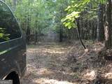 LOT 10 Triune Mill Road - Photo 11