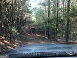 LOT 10 Triune Mill Road - Photo 12