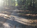 LOT 10 Triune Mill Road - Photo 17