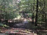 LOT 10 Triune Mill Road - Photo 18