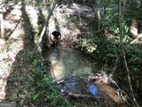 LOT 10 Triune Mill Road - Photo 21