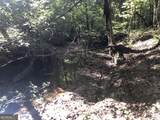 LOT 10 Triune Mill Road - Photo 23