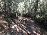 LOT 10 Triune Mill Road - Photo 24
