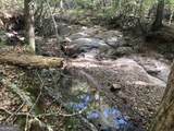 LOT 10 Triune Mill Road - Photo 29