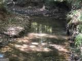LOT 10 Triune Mill Road - Photo 3