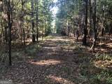 LOT 10 Triune Mill Road - Photo 4