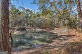 4931 Mill Branch Hunting Club Road - Photo 59