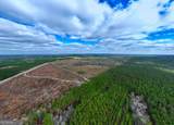 290 ACRES Highway 121 - Photo 10